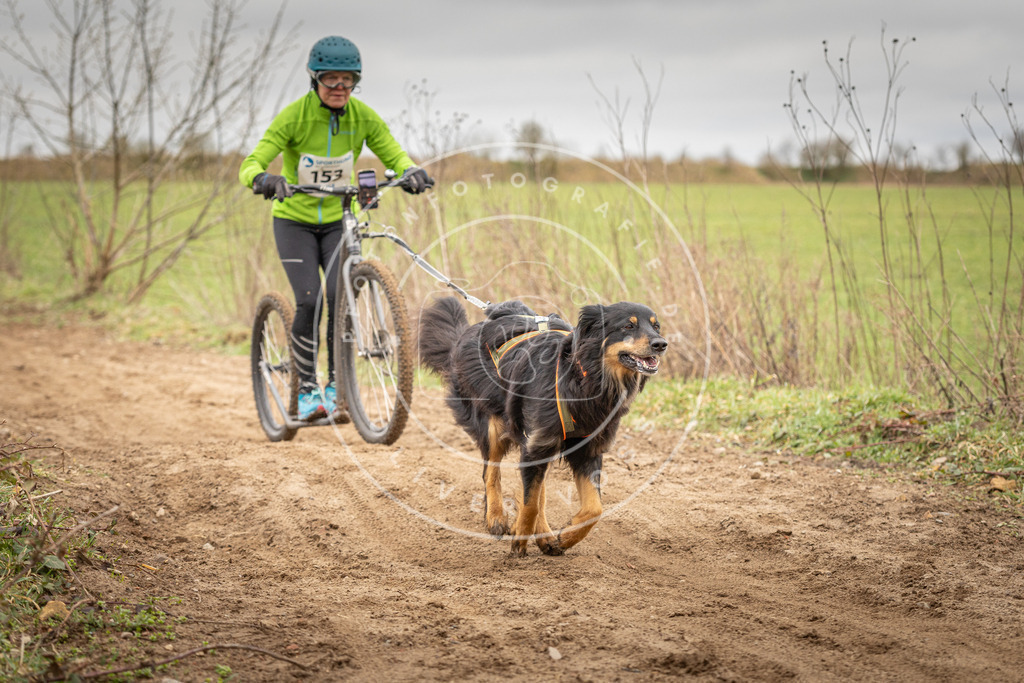 DV3A1566 | Hundefotografie, Tierfotograf, Pfotenfotografie, Fotoshooting Hund, Hunde Portrait, Hundesport, Hundeportraits, Heideshooting, Hunde, Sportfotograf, Hundefotograf, Turnierhundsport, THS,  - Realisiert mit Pictrs.com