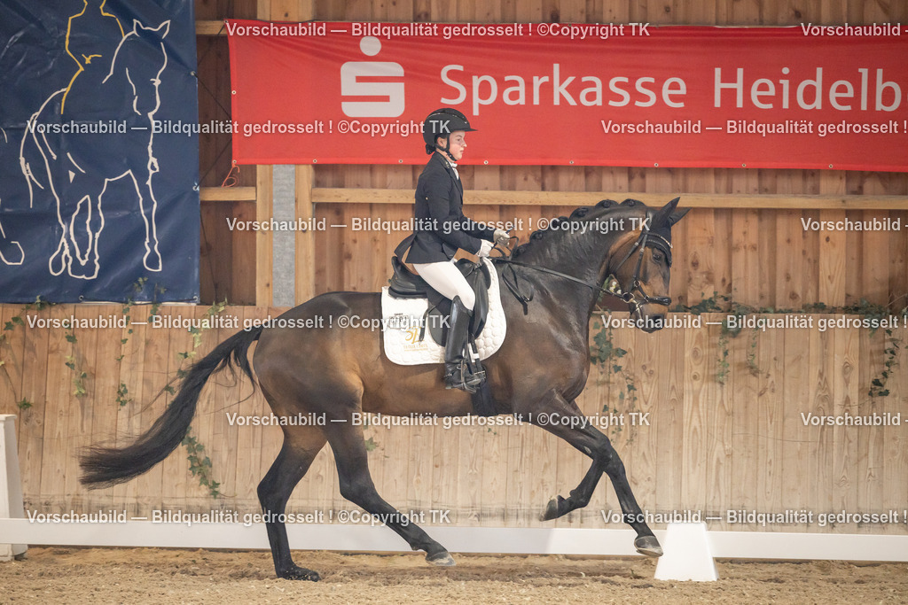 _D5A8320 | Emotionale Pferde- & People-Fotografie rund um Heidelberg, Leimen & Umgebung. Natürliche Fotos von Pferd, Mensch & Familie. Jetzt Termin sichern!