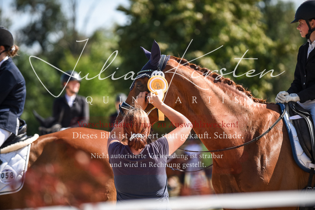 DSC_9703 | Pferde- und Turnierfotografie in Westsachsen. Pferdeportraits, Auftragszeichnungen und intuitive Kunst.