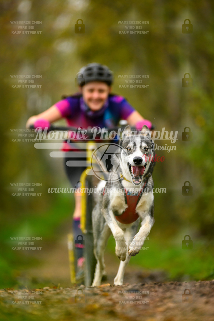 MompixPhotography_20TSB_E6_DS1-47 | PayLife