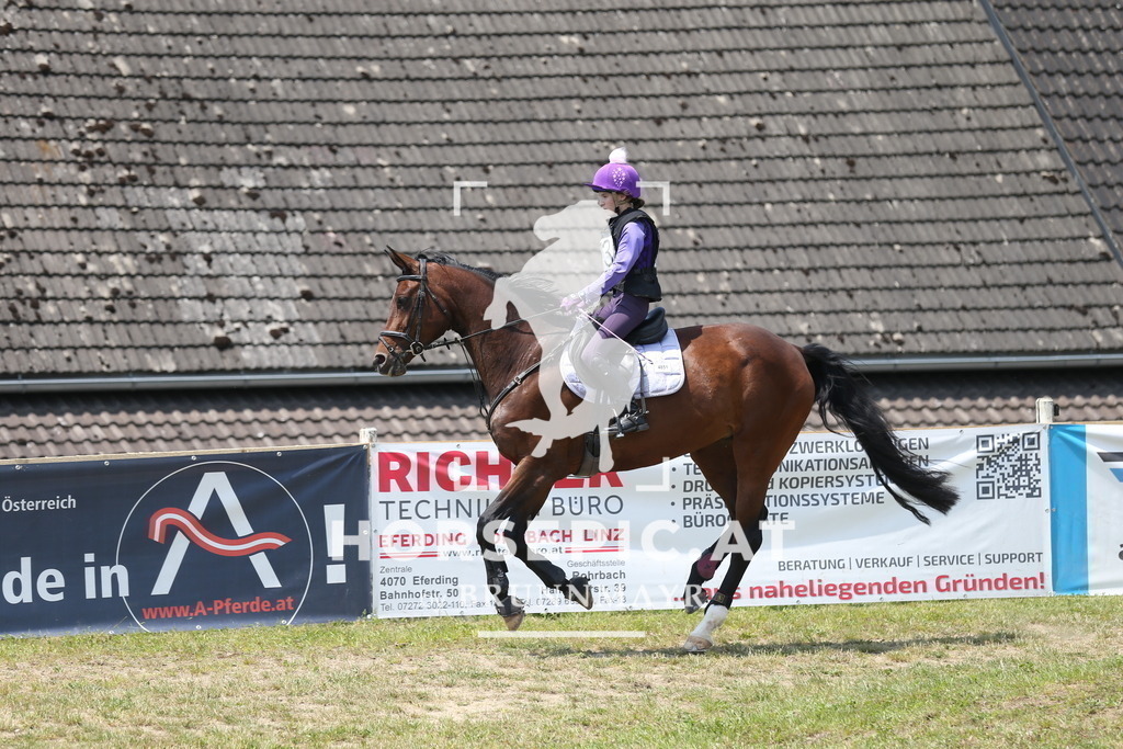 DL2Q2250 | Willkommen bei Brunnmayr - Design & Fotografie – Ihrem Spezialisten für Reitturniere und Pferdeveranstaltungen in Oberösterreich, Salzburg und Bayern! Seit über 17 Jahren sind wir leidenschaftlich dabei.