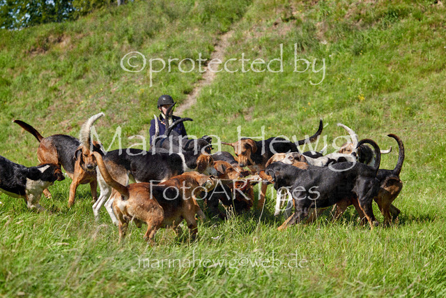 08-23 Bredeneek Jagd_MCH9573_Marina Hewig | Fotografie, FotoArt, PferdesportArt, Pferdesportfotografie, Landschaftsfotografie, Reisefotografie, Reise, Pferde - Realisiert mit Pictrs.com