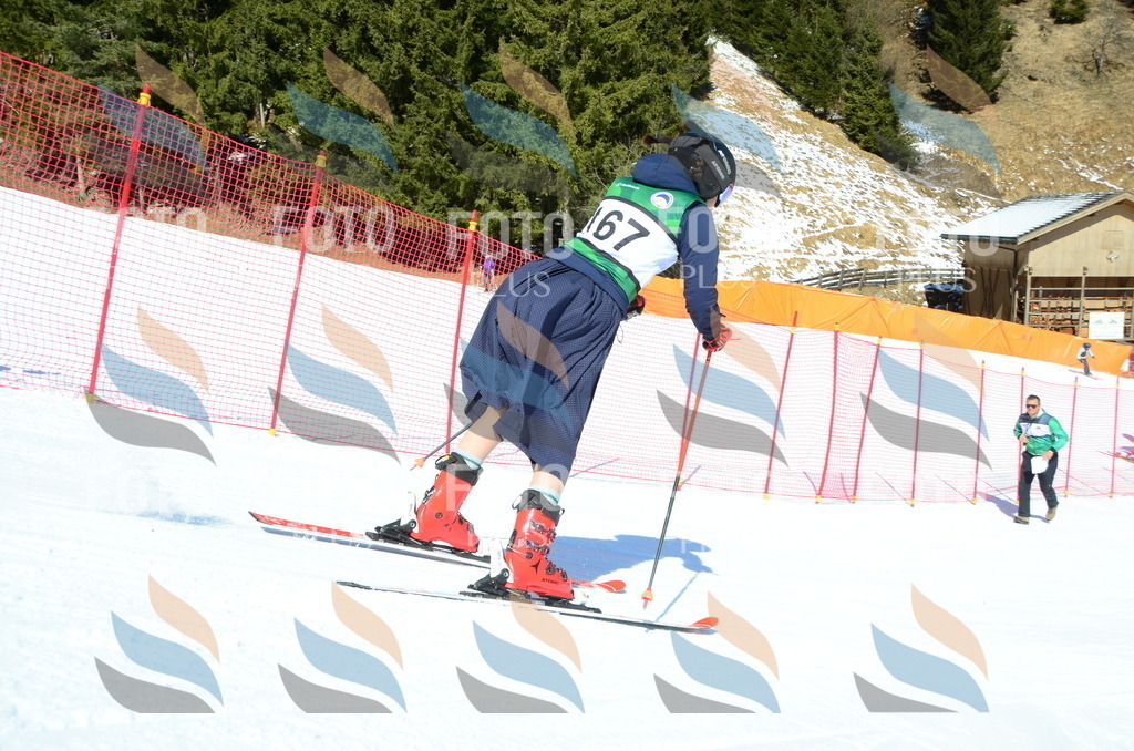 C6272 | holidayphoto