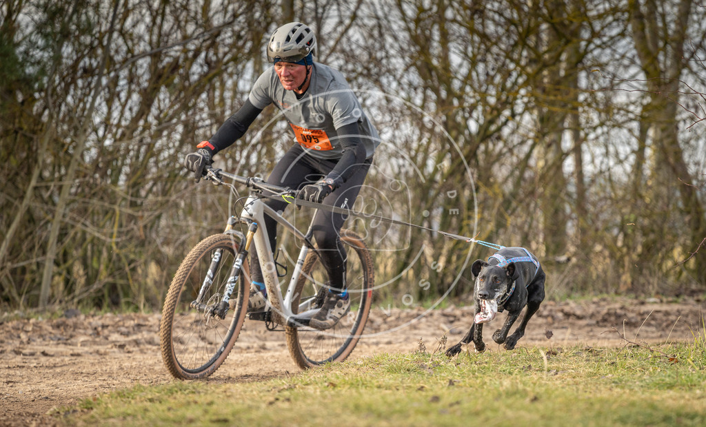 Pfotenfotografie_DV3A7721 | Hundefotografie, Tierfotograf, Pfotenfotografie, Fotoshooting Hund, Hunde Portrait, Hundesport, Hundeportraits, Heideshooting, Hunde, Sportfotograf, Hundefotograf, Turnierhundsport, THS,  - Realisiert mit Pictrs.com