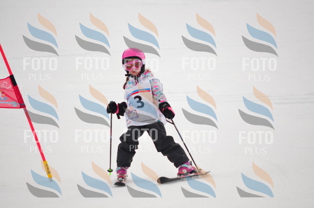 B9679 | holidayphoto