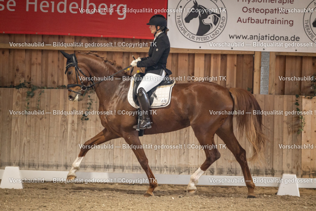 _D5A8380 | Emotionale Pferde- & People-Fotografie rund um Heidelberg, Leimen & Umgebung. Natürliche Fotos von Pferd, Mensch & Familie. Jetzt Termin sichern!