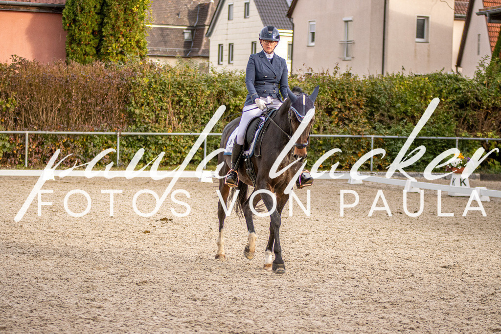 IMG_4412 | Erleben Sie dynamische Sport- und emotionale Tierfotografie in Süddeutschland mit Fotos von Paula. Spezialisiert auf Pferde- und Hundefotografie sowie Sportevents. Kontaktieren Sie mich für einzigartige und ausdrucksstarke Bilder Ihrer besonderen Momente. - Realisiert mit Pictrs.com