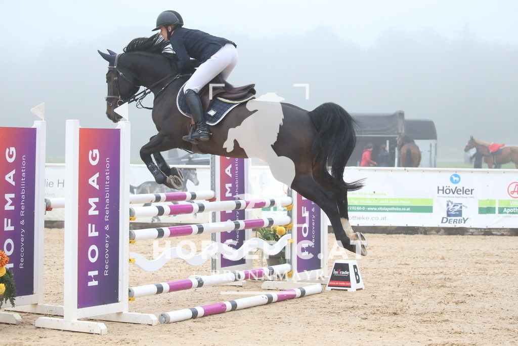 DL2Q2827 | Willkommen bei Brunnmayr - Design & Fotografie – Ihrem Spezialisten für Reitturniere und Pferdeveranstaltungen in Oberösterreich, Salzburg und Bayern! Seit über 17 Jahren sind wir leidenschaftlich dabei.