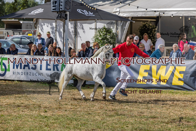 Wel (8 von 433) | mandyhollmannphotographie