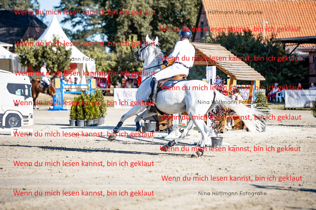 BK1A8185 | Turnierbilder Turnierfotos Nina Hüffmann Turnierfotografie Pferdefotografie Tierzeichnung Haustierzeichnung Pferdezeichnung Hundezeichnung Videograf  - Realisiert mit Pictrs.com
