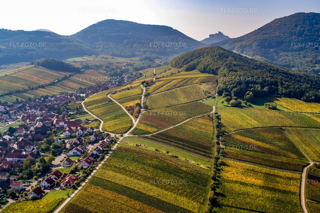 Luftbild: Weinlage Mandelhain in Birkweiler im Bundesland Rheinland-Pfalz in Deutschland. Foto: IMG_8417.jpg vom 06.10.2007 durch Werner Riehm/FLY-FOTO.de