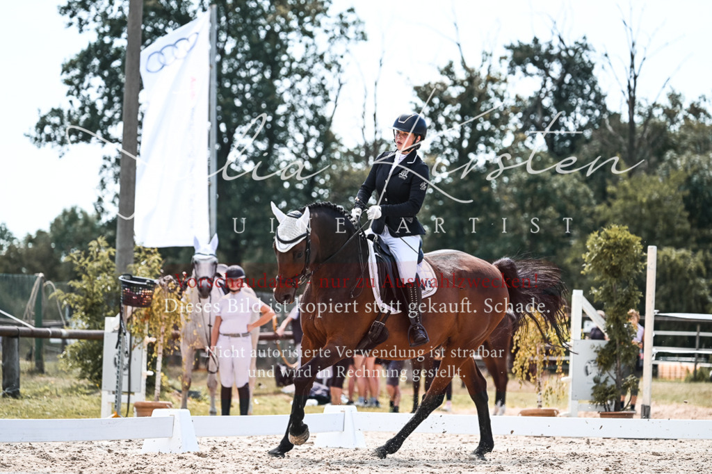 DSC_5667 | Pferde- und Turnierfotografie in Westsachsen. Pferdeportraits, Auftragszeichnungen und intuitive Kunst.