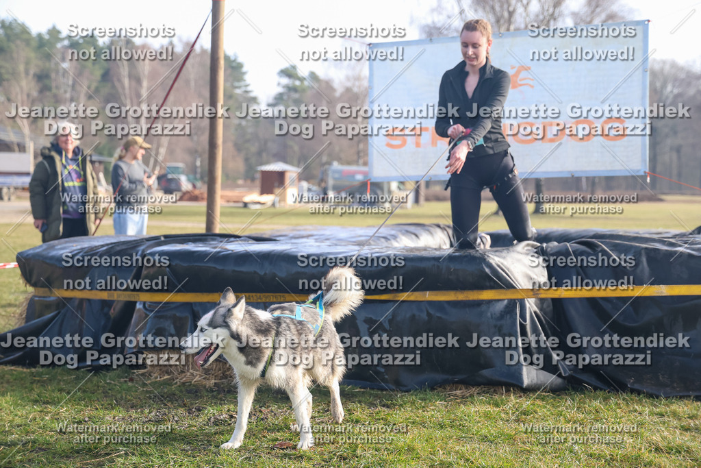 Dog Paparazzi - Strongdog North Mrz26-473 | Dog Paparazzi Jeanette Grottendiek Fotografie & Videografie - Realisiert mit Pictrs.com