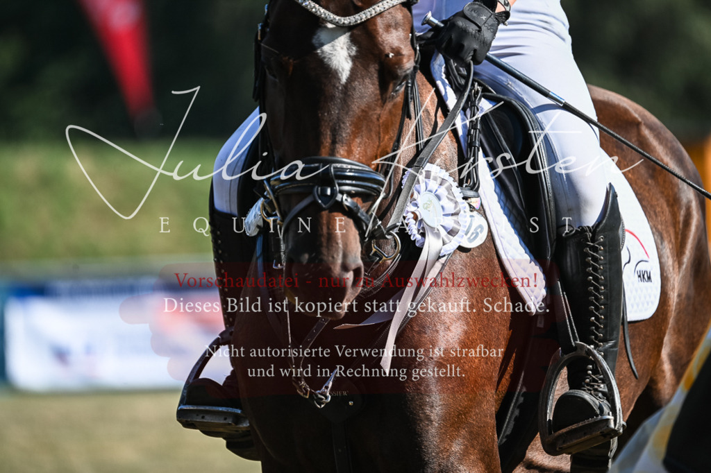 DSC_7125 | Pferde- und Turnierfotografie in Westsachsen. Pferdeportraits, Auftragszeichnungen und intuitive Kunst.