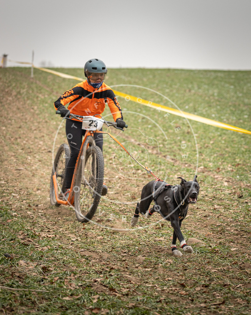 Pfotenfotografie_DV3A3757 | Hundefotografie, Tierfotograf, Pfotenfotografie, Fotoshooting Hund, Hunde Portrait, Hundesport, Hundeportraits, Heideshooting, Hunde, Sportfotograf, Hundefotograf, Turnierhundsport, THS,  - Realisiert mit Pictrs.com