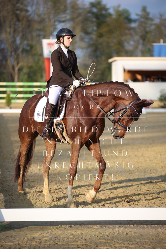 IMGT9192 | pl-fotografie