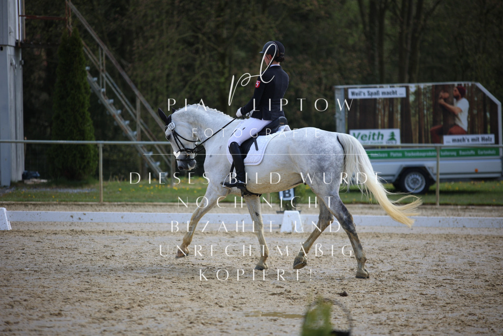 IMGT4807 | pl-fotografie