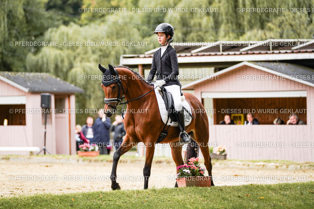 DSC07878 | Pferdegrafie