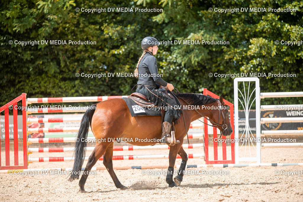 EWP_6688 | dv-media-shop - Realisiert mit Pictrs.com