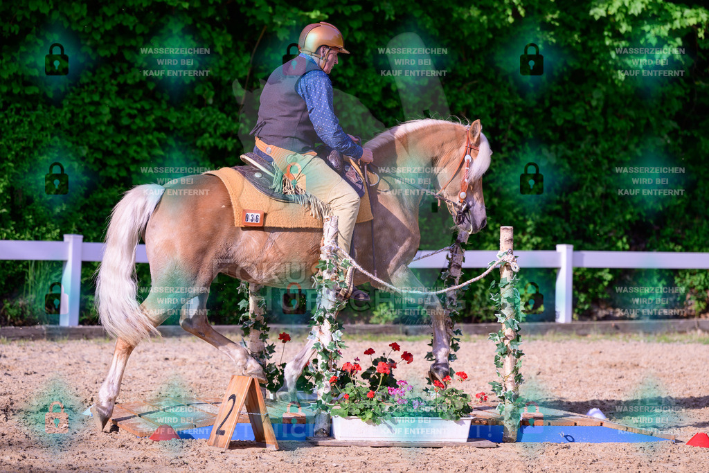 02052026-Giesenbach-03-Speedtrail-0386 | Fokus Hufschlag Fotografie - Realisiert mit Pictrs.com