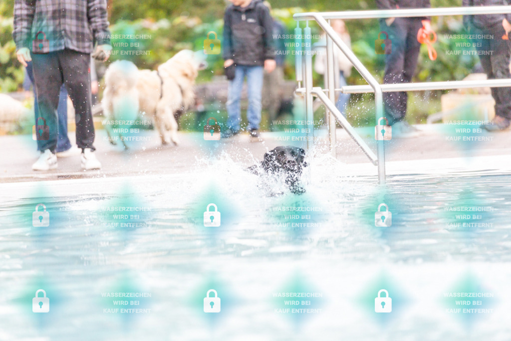 _HP_7359_1000o | HetPix, HetPix Fotodesign, Fotografie, Fotodesign, Webshop, Sportfotografie, Portraitfotografie, Onlineshop, Sportfotografie, Polch, Motorsportfotografie, Eventfotografie