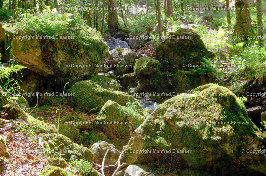 Mooosfelsen am Gebirgsbach WB-015 | Wald, Ruhe, Erholung, Abschalten, relaxen, Augenoasen, Kraft tanken, Waldbaden, Stress reduzieren, Bäume, Kirschblüten, Frühlingswald, Sonne im Wald, Licht im Wald, Herbstwald, Waldwege, Gebirgswald, Wasser im Wald, Felsen im Wald, - Realisiert mit Pictrs.com