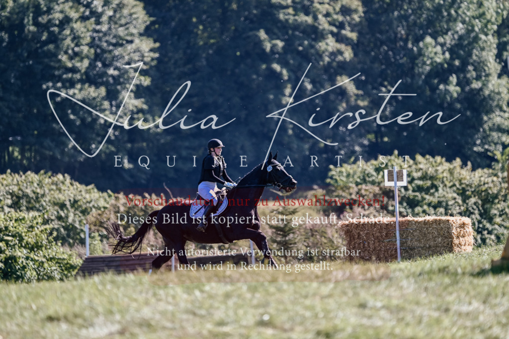 DSC_3485 | Pferde- und Turnierfotografie in Westsachsen. Pferdeportraits, Auftragszeichnungen und intuitive Kunst.