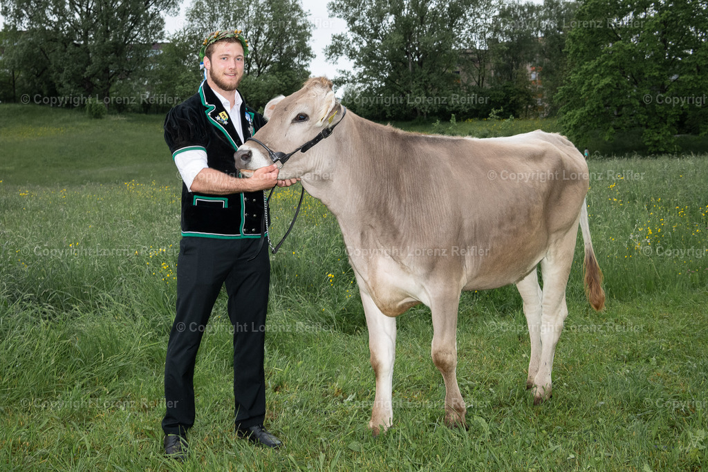 Schwingen -  Zürcher Kantonal 2023 | Zürich Allmend, 14.5.23, Schwingen - Zürcher Kantonal.