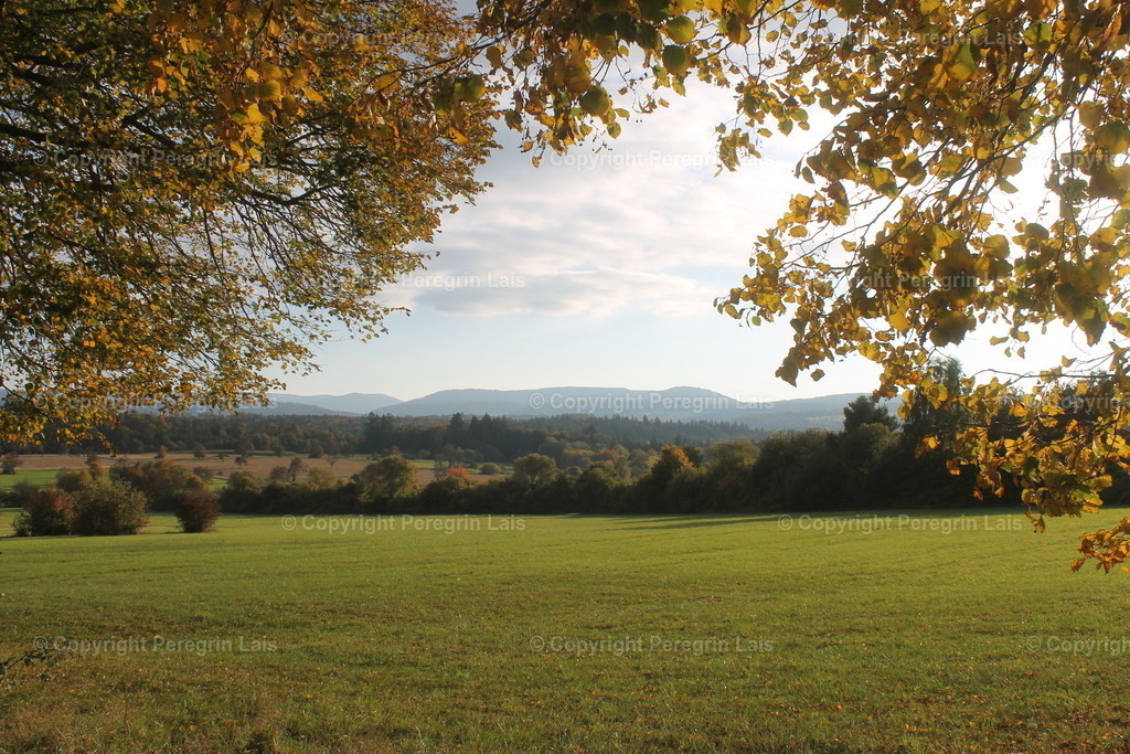 IMG_3082 | Fotografiert von Peregrin Lais. Bilder anschauen, 
Formate auswählen und bestellen. - Realisiert mit Pictrs.com