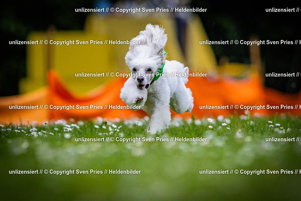 Sven Pries | 2025-05-29 - Pudelrennen KA-Durlach - Realisiert mit Pictrs.com