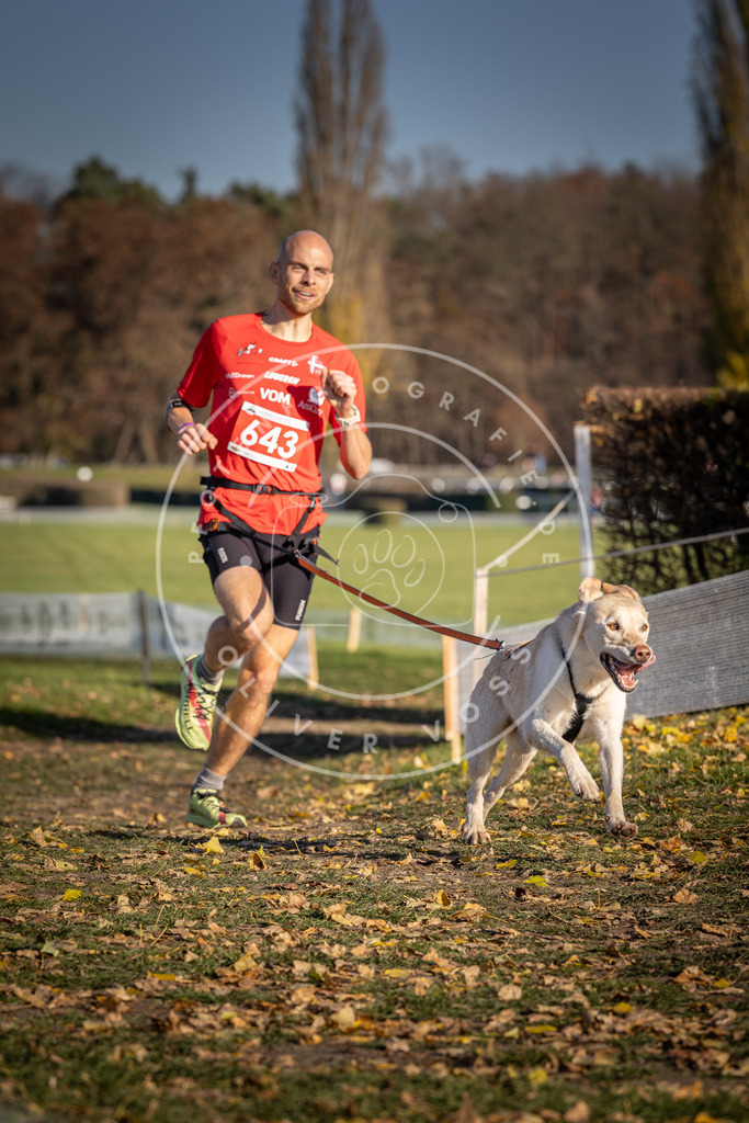 CaniXpix_DV3A0369 | Hundefotografie, Tierfotograf, Pfotenfotografie, Fotoshooting Hund, Hunde Portrait, Hundesport, Hundeportraits, Heideshooting, Hunde, Sportfotograf, Hundefotograf, Turnierhundsport, THS,  - Realisiert mit Pictrs.com