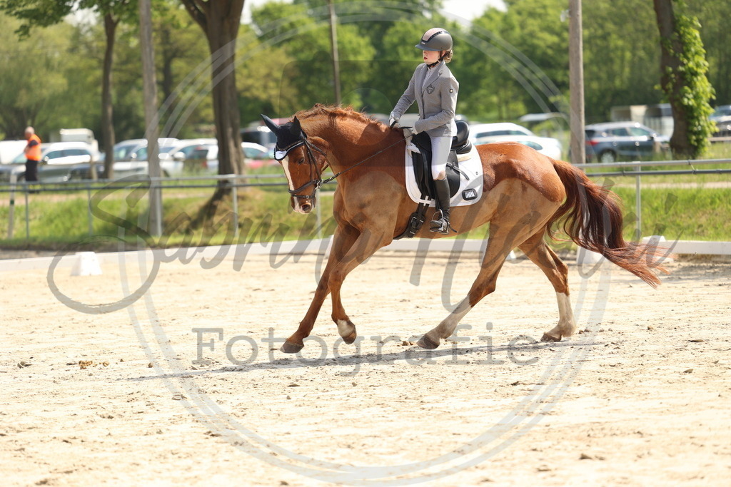 994A7143 | sabrinanicolaifotografie - Realisiert mit Pictrs.com