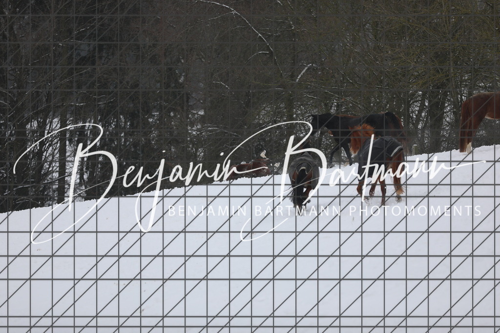 AZ2A3364 | Benjamin Bartmann Photomoments