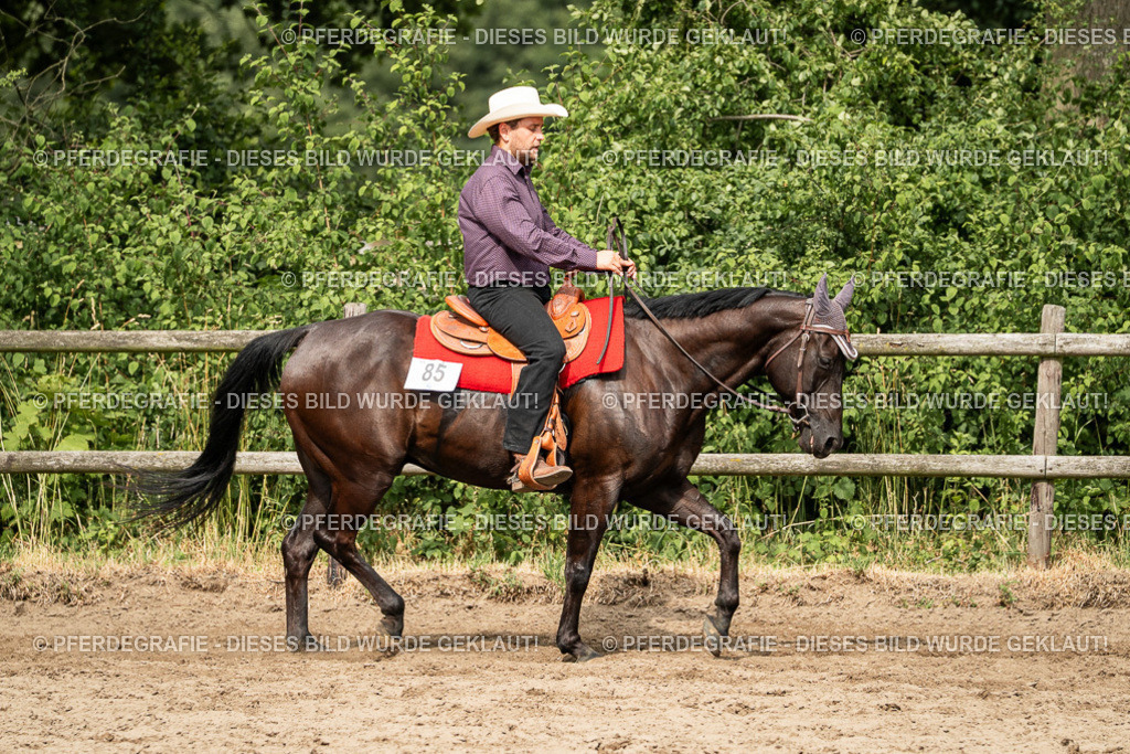 DSC03578 | Pferdegrafie