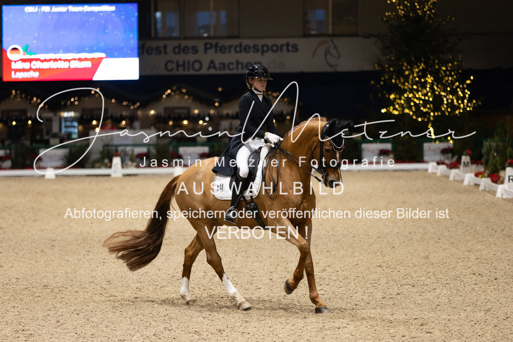 126A8190 | jasminmetznerfotografie