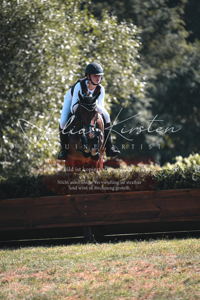 DSC_8287 | Pferde- und Turnierfotografie in Westsachsen. Pferdeportraits, Auftragszeichnungen und intuitive Kunst.