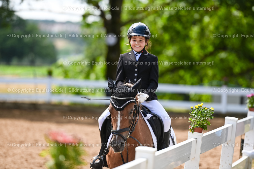 20230716_10-3_Reiter-WB Schritt - Trab - Galopp_0041 | equistock