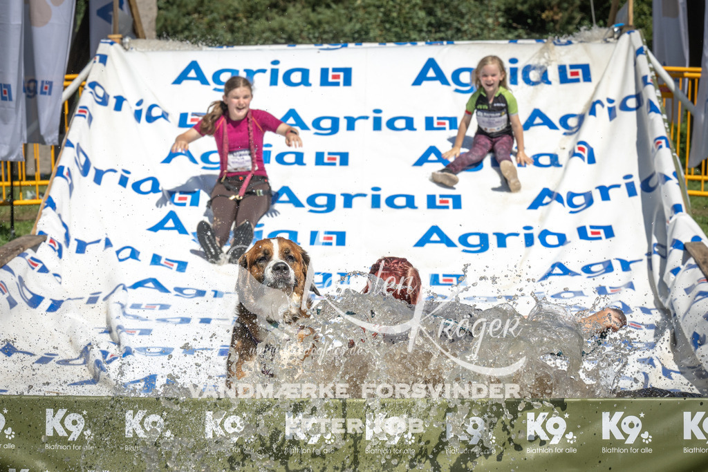 1351_ZZ91667 | kk-dogfotos