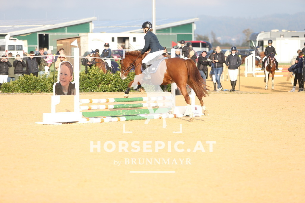 DL2Q3378 | Willkommen bei Brunnmayr - Design & Fotografie – Ihrem Spezialisten für Reitturniere und Pferdeveranstaltungen in Oberösterreich, Salzburg und Bayern! Seit über 17 Jahren sind wir leidenschaftlich dabei.