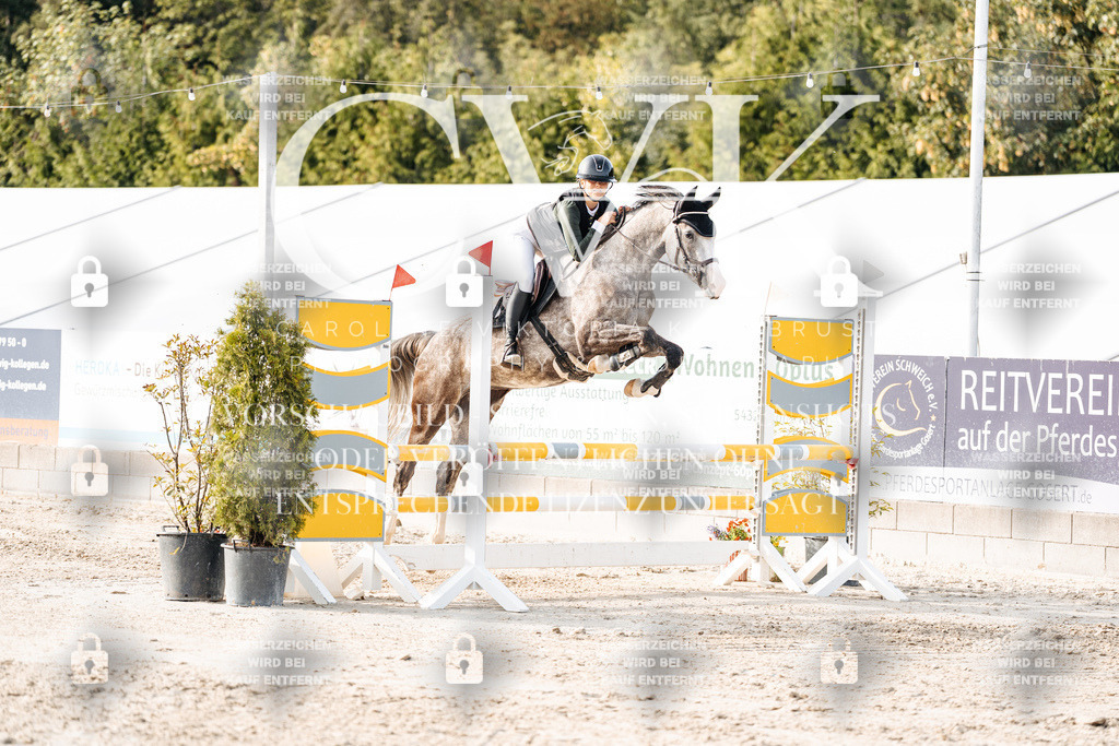 CK906597 | Turnierfotografie Pferdefotografie Trier Rheinland-Pfalz Pferdesport Reitsport Tierfotografie Sportfotografie Pferdevideo Pferdevideografie Equestrianvideography equestrianphotography  - Realisiert mit Pictrs.com