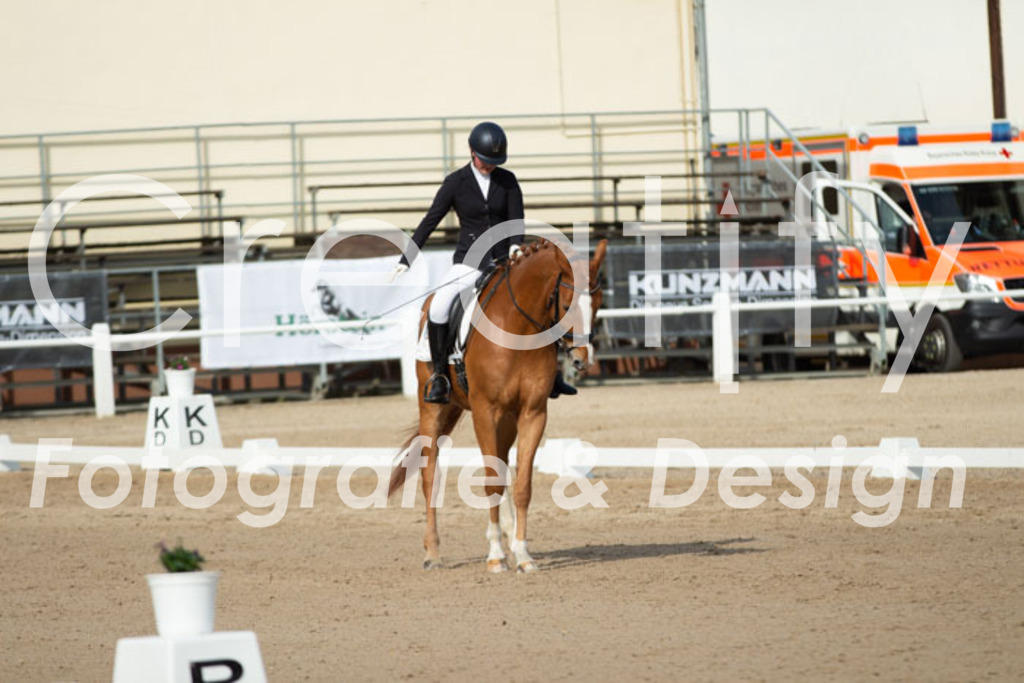 IMG_0704 | Creatify Fotografie