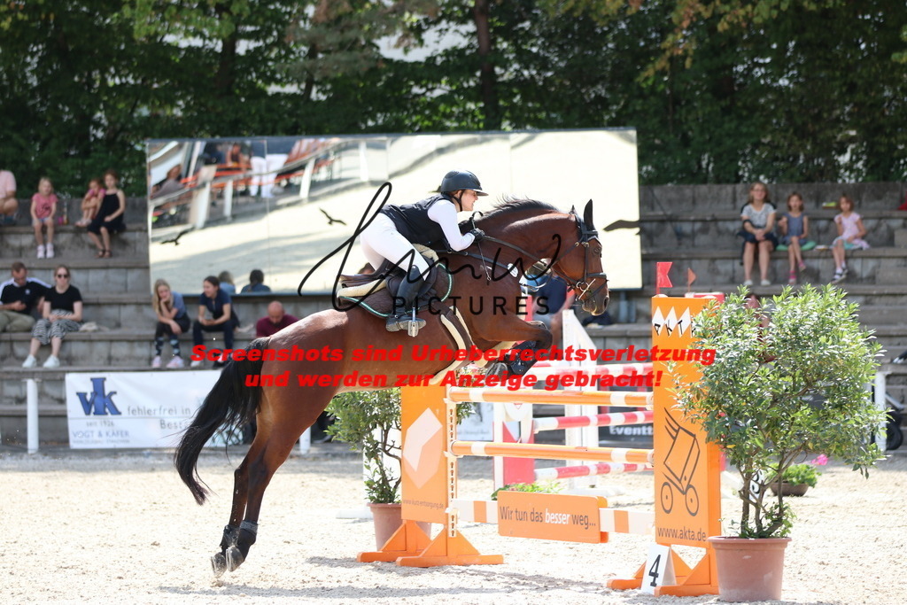 IMG_0390 | lmwpictures - Realisiert mit Pictrs.com