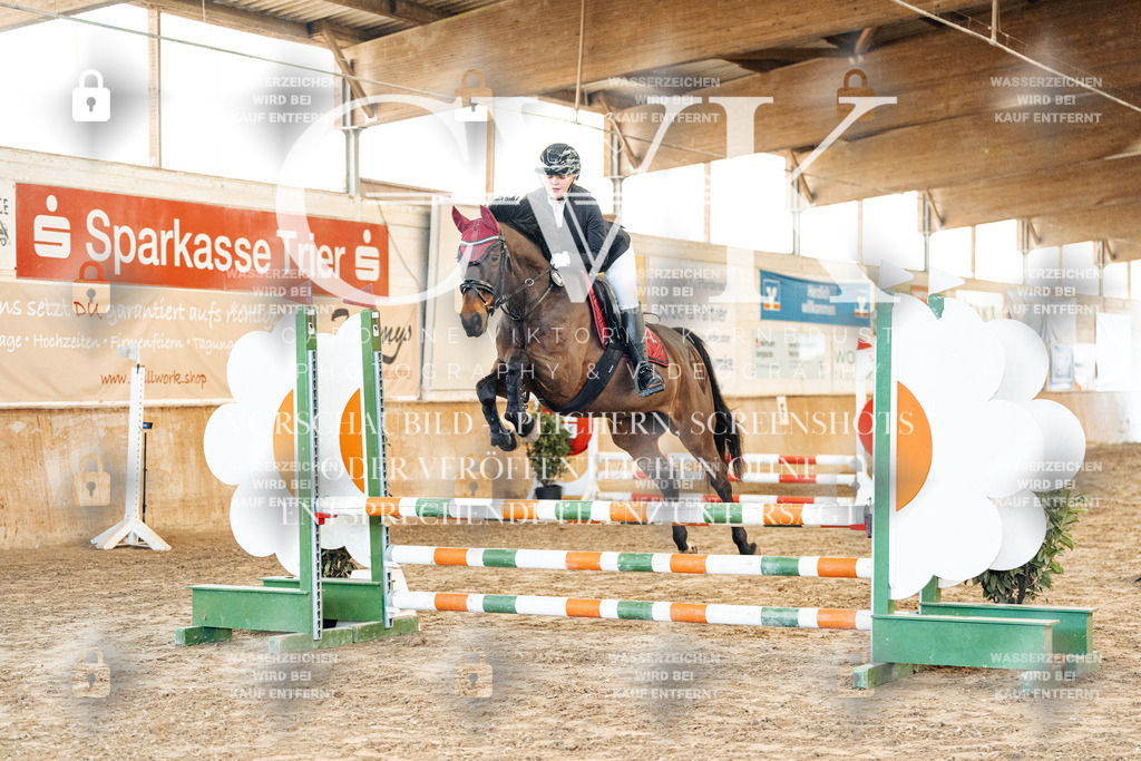 CK903773 | Turnierfotografie Pferdefotografie Trier Rheinland-Pfalz Pferdesport Reitsport Tierfotografie Sportfotografie Pferdevideo Pferdevideografie Equestrianvideography equestrianphotography  - Realisiert mit Pictrs.com