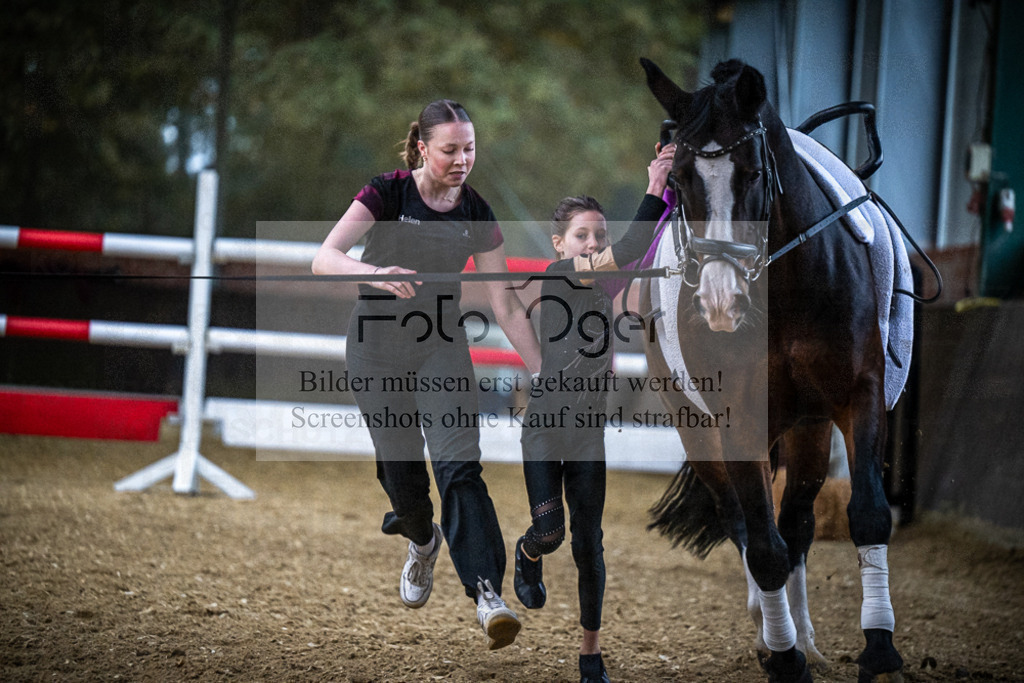 DOS_0074 | Entdecke hochwertige Reitturnierfotos von Foto Oger. Professionell, emotional und authentisch – jetzt Lieblingsmomente im Shop bestellen.Deutschlandweite Turnierfotografie. - Realisiert mit Pictrs.com