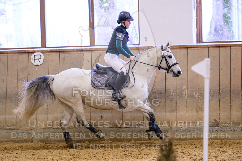 29032026-Schwaiganger-Prfg02-1-0168 | Fokus Hufschlag Fotografie - Realisiert mit Pictrs.com