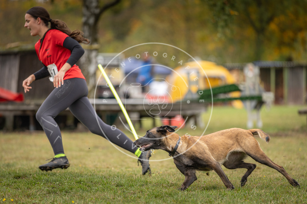 Pfotenfotografie_DV3A5003 | Hundefotografie, Tierfotograf, Pfotenfotografie, Fotoshooting Hund, Hunde Portrait, Hundesport, Hundeportraits, Heideshooting, Hunde, Sportfotograf, Hundefotograf, Turnierhundsport, THS,  - Realisiert mit Pictrs.com