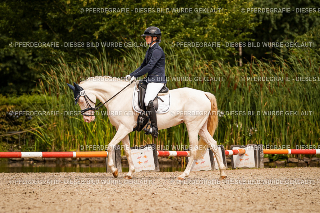 DSC02051 | Pferdegrafie