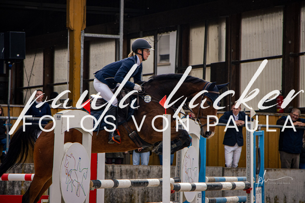 IMG_4447 | Erleben Sie dynamische Sport- und emotionale Tierfotografie in Süddeutschland mit Fotos von Paula. Spezialisiert auf Pferde- und Hundefotografie sowie Sportevents. Kontaktieren Sie mich für einzigartige und ausdrucksstarke Bilder Ihrer besonderen Momente. - Realisiert mit Pictrs.com