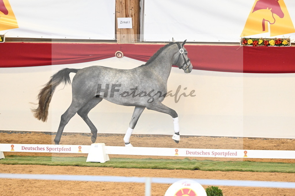 Kat.-Nr. 65 v. Fynch Hatton_Berger _ Kopp_3260799 | hf-fotografie - Realizzato con Pictrs.com
