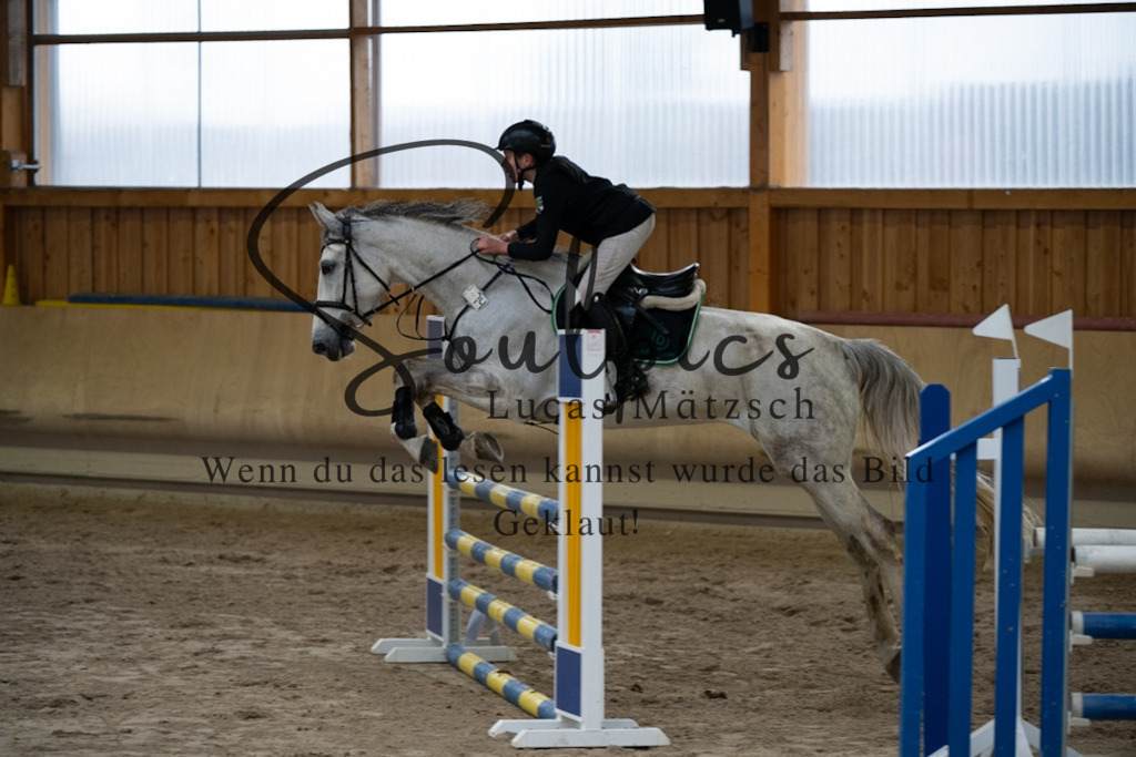 A7V00870 | Pferdefotograf